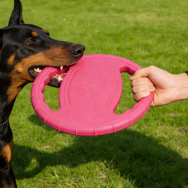 Dogs EVA Flying Disc Tooth Chew Play Train Toy Indestructible Pet Supplies Toys Large Safe Small 1005011556333334