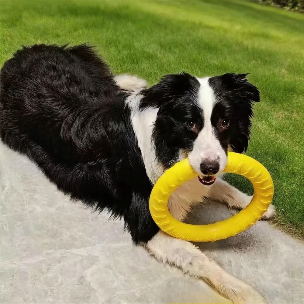 Dog Flying Disc, Flyer Dog Toy for Outdoor Indoor Fun 1005011583916805