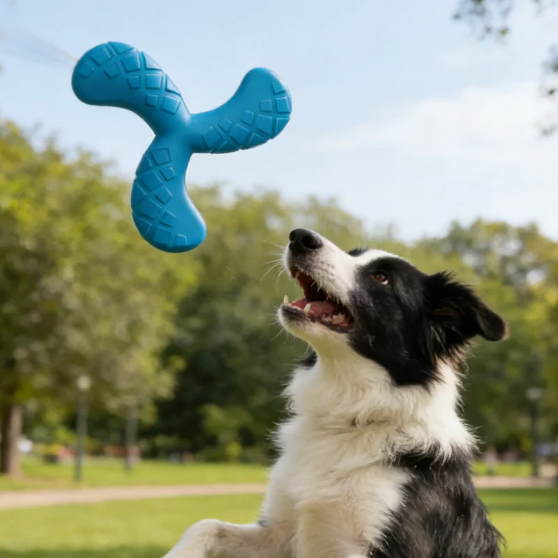 Dogs Eva Boomerang Flying Disc Play Tooth Chew Toy Indestructible Safe Large Dog Tough Toys 1005011589771784