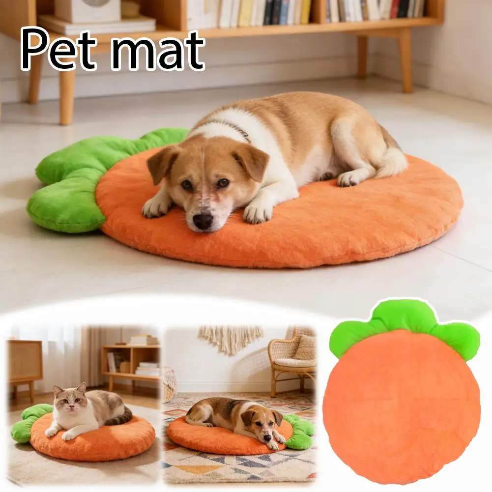 Washable Pet Bed Mat, Washable Cat Cushion 1005011591964178