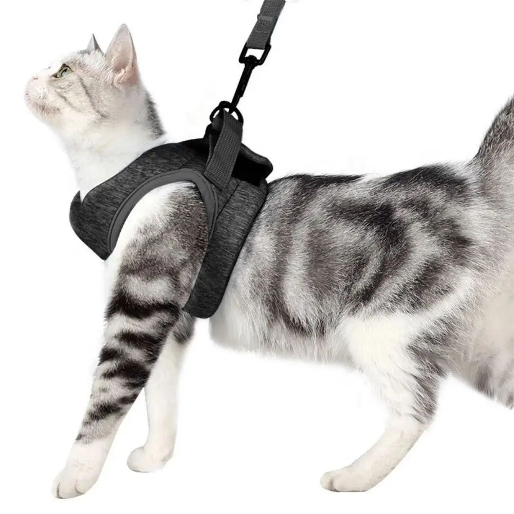 Polyester Pet Harness Leash Set Breathable Adjustable Cat Chest Strap Soft Lightweight Cat Escape 1005011606388118