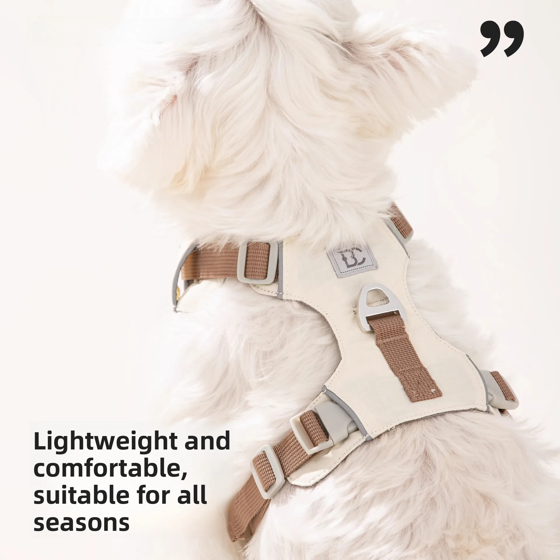 Lightweight Dog Leash Walking Harness Vest for Small to Medium Size Breeds Explosive Proof Chest 1005011646407467