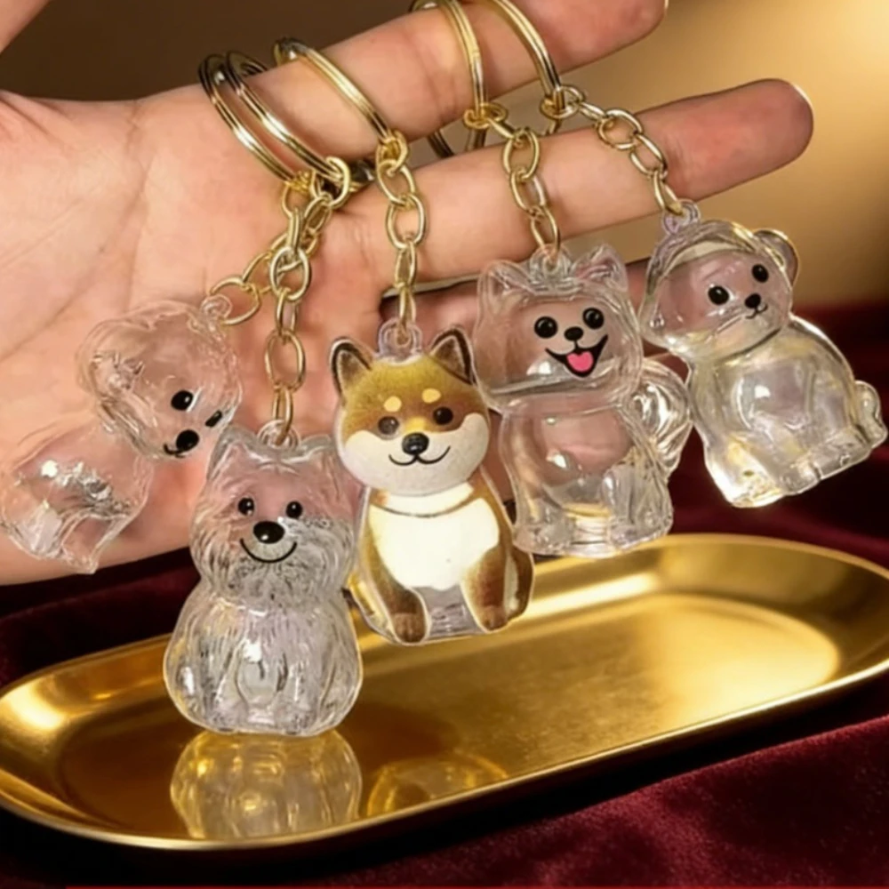 Custom Name Capsule Pet's Cute Keyring Dog Hair Storage Box Pendant Keychain Collection Decoration 1005011691019984