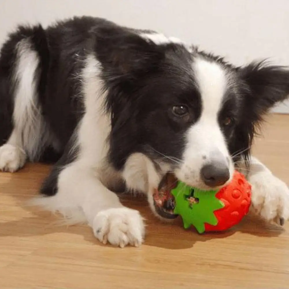 Strawberry Shaped Dog Chew Interactive Tooth Cleaning Food Leaking Ball Bite Resistant Rubber 1005011714723910