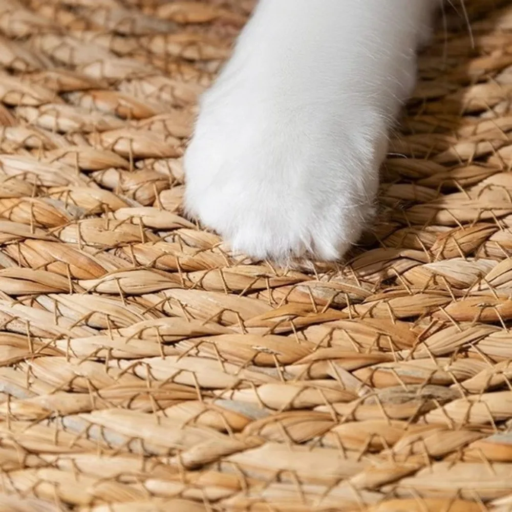 Cat Cooling Mat 40/50/60cm Scratch Board Pad Round with Ball Scratcher Bed Weaving Pet Supplies 1005011721223448