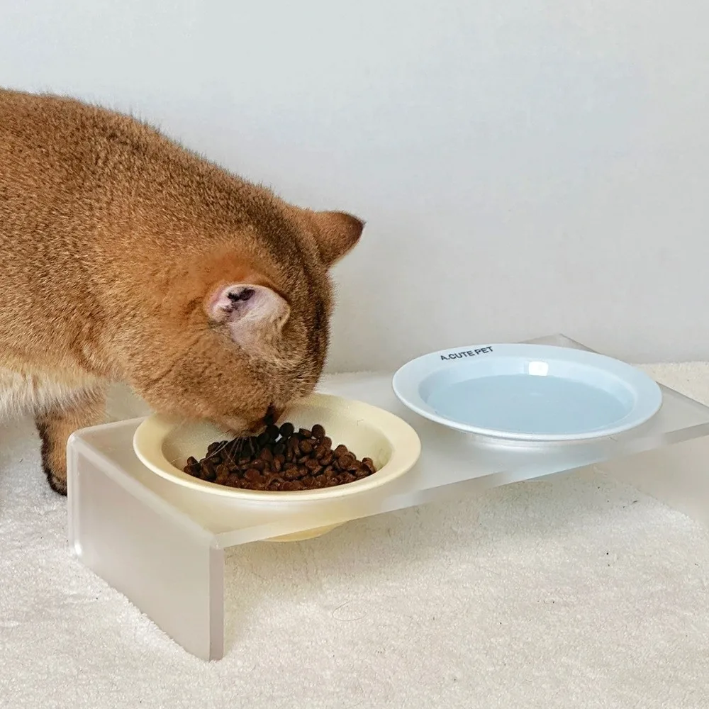 Ceramic Elevated Cat Bowl Solid Color Acrylic Bowl Rack Bowl Stand Holder Large Diameter Tilted 1005011721520150