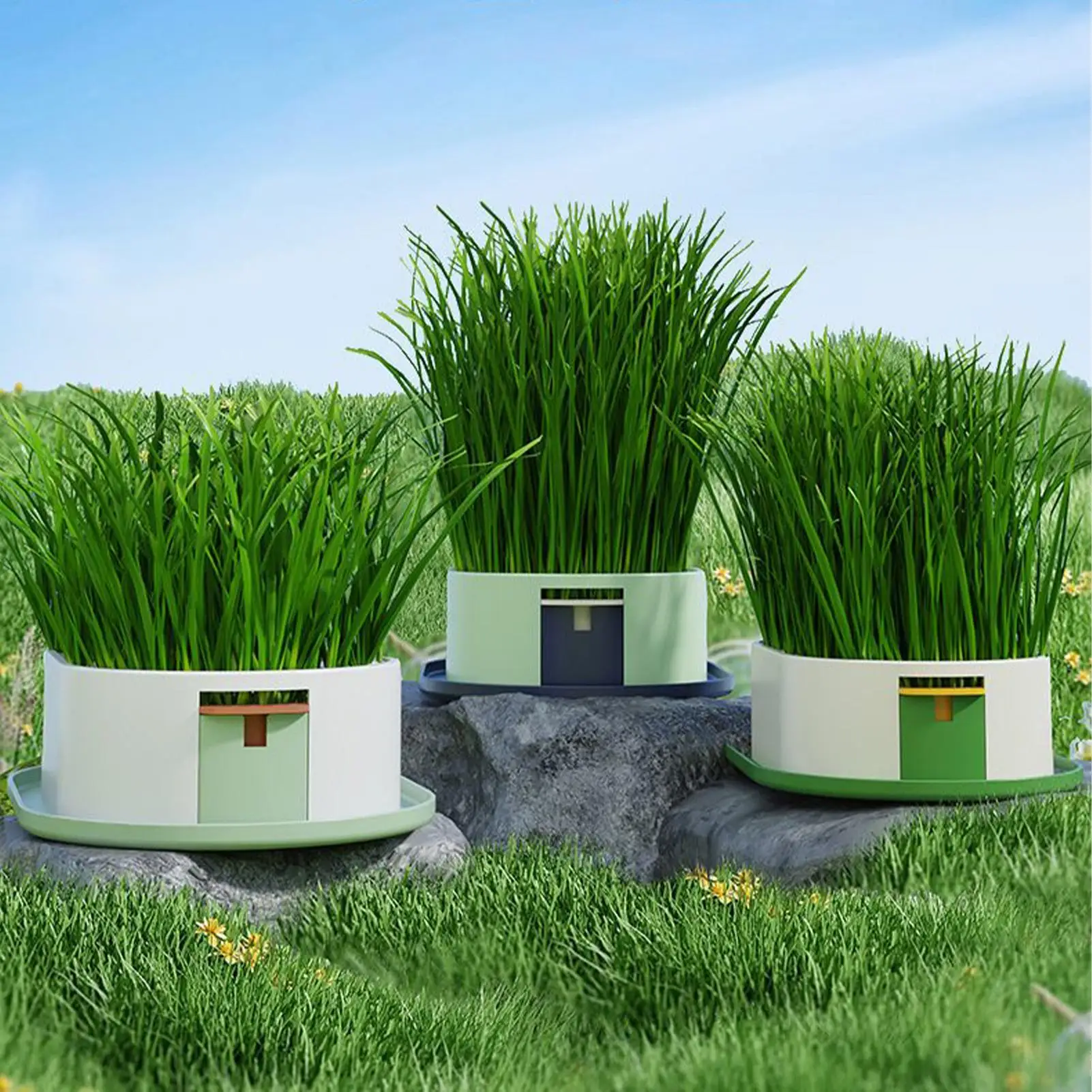 Cat Snack Grass Box Cat Catnip Grass Grow Station Soilless Planting Cat Grass Pot for Kitten Snack 1005011730531472