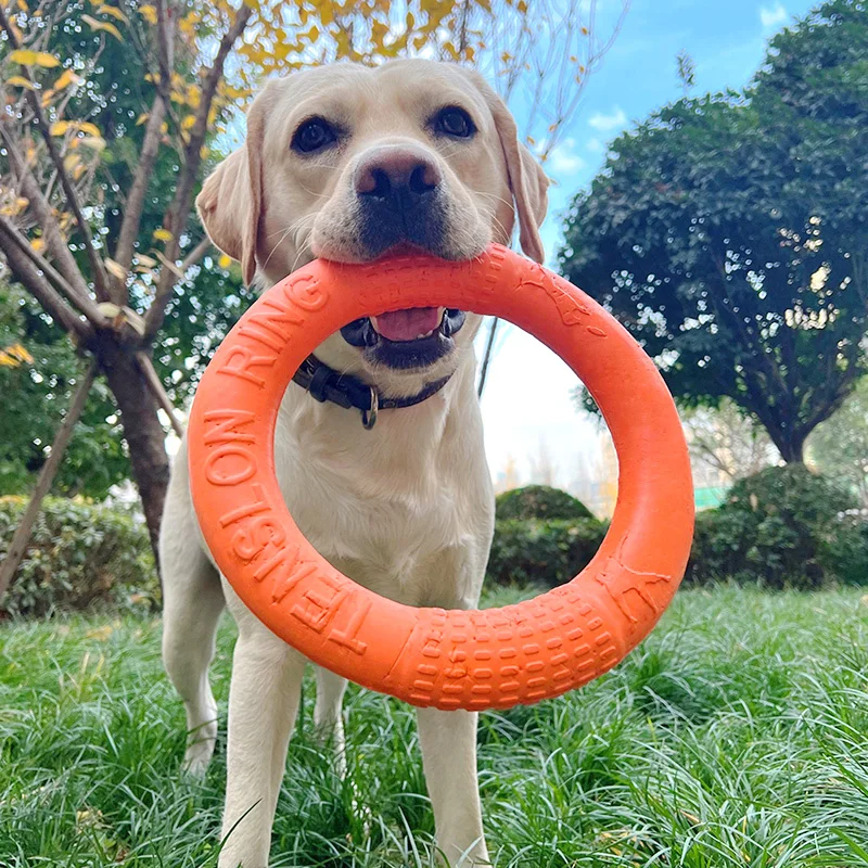 Dog Ring Toys Rubber Chewing Flying Floating Training Tools Fetch for Small Medium Large Dogs 1005011733055212