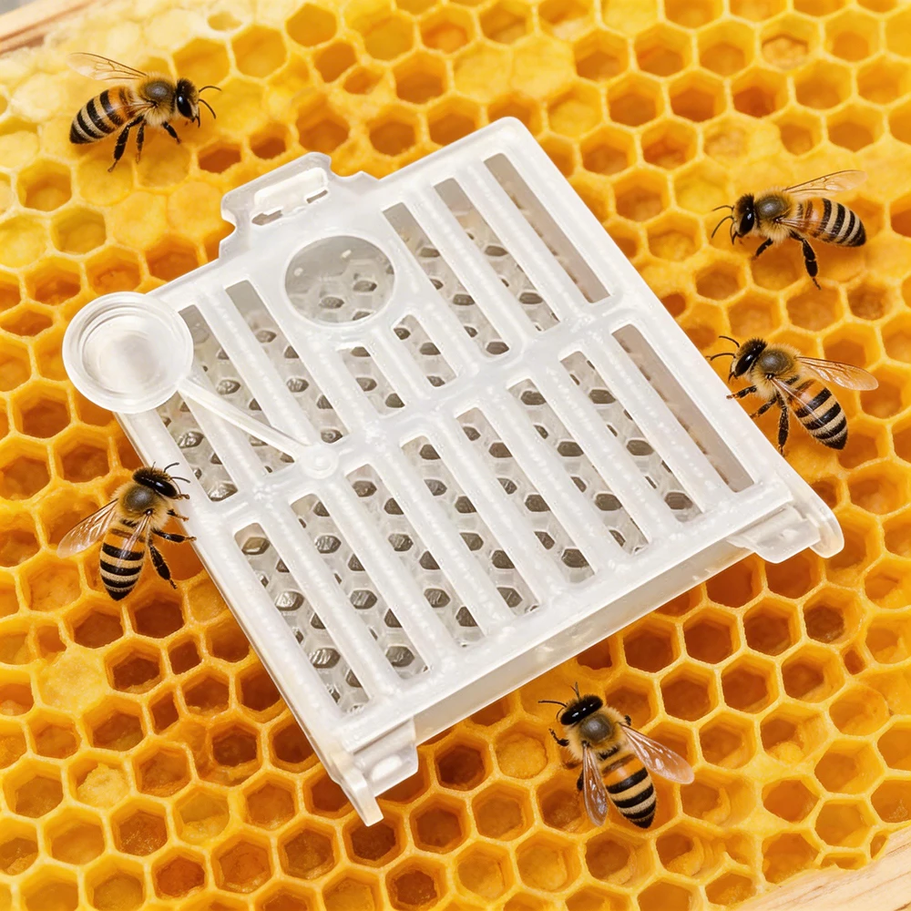 Queen Bee Cage Plastic Queen Escape Prevention Control Box Queen Cage for Beekeeping Mailing (5 Pcs) 1005011734441615