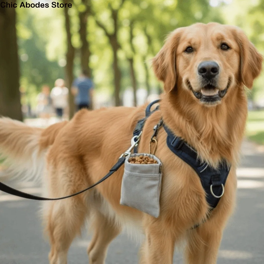 With Carabiner Dog Training Snack Bag Oil-resistant Stain-resistant Dog Treat Pouch Water-resistant 1005011752012547