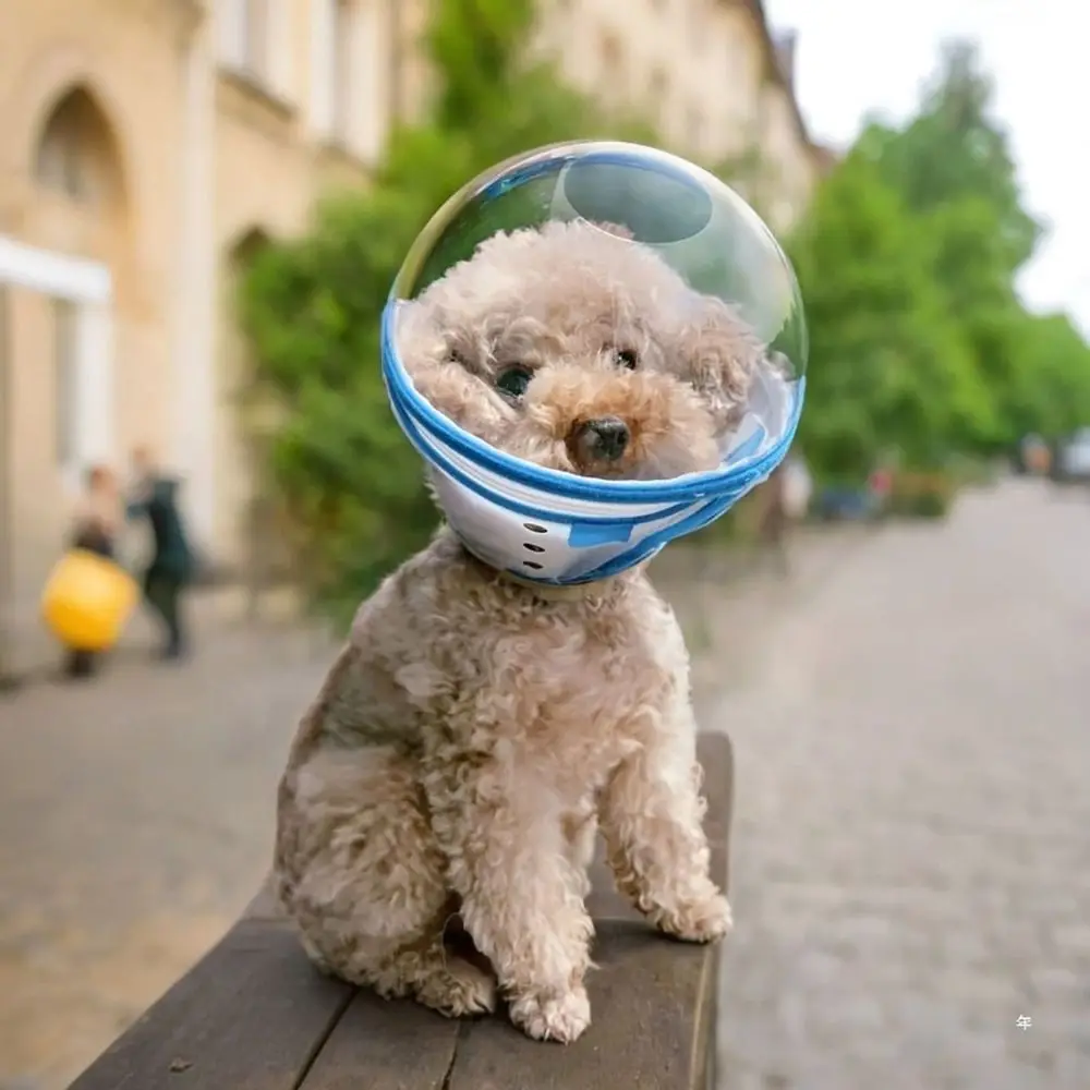 Protective Biting Prevention Cat Muzzle Transparent Breathable Astronaut Helmet Adjustable Pet Hood 1005011754165462