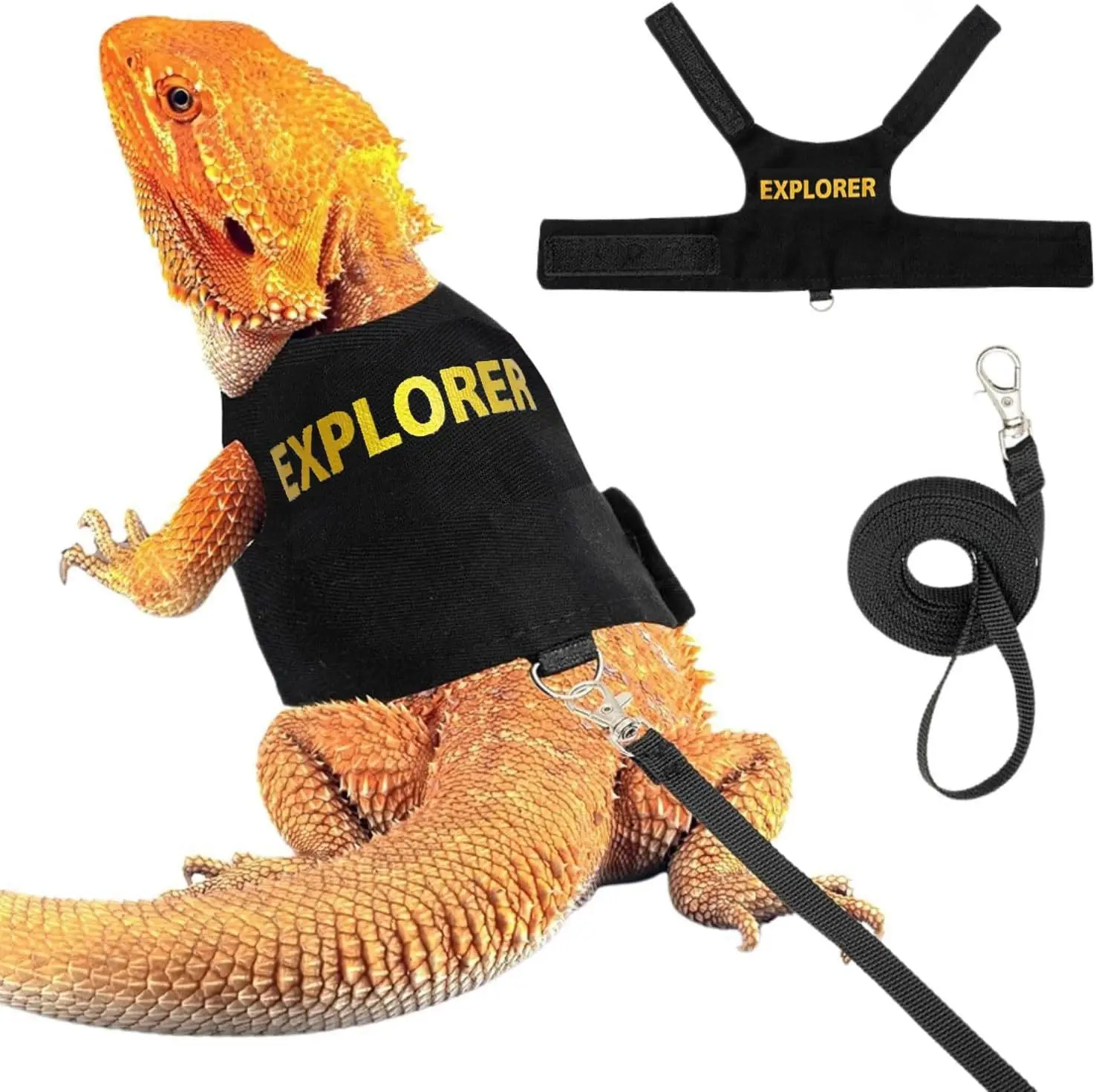 Bearded Dragon Harness Leash Set 1005011754300873