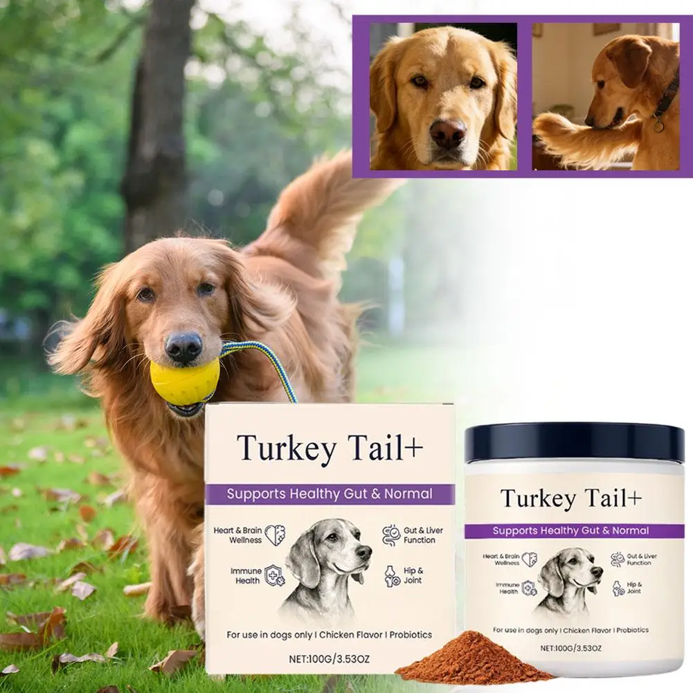 Dog Probiotic Intestinal Powder 100g Delicious Bacon Flavor Gut Flora Balance Digestive Support for 1005011759756014