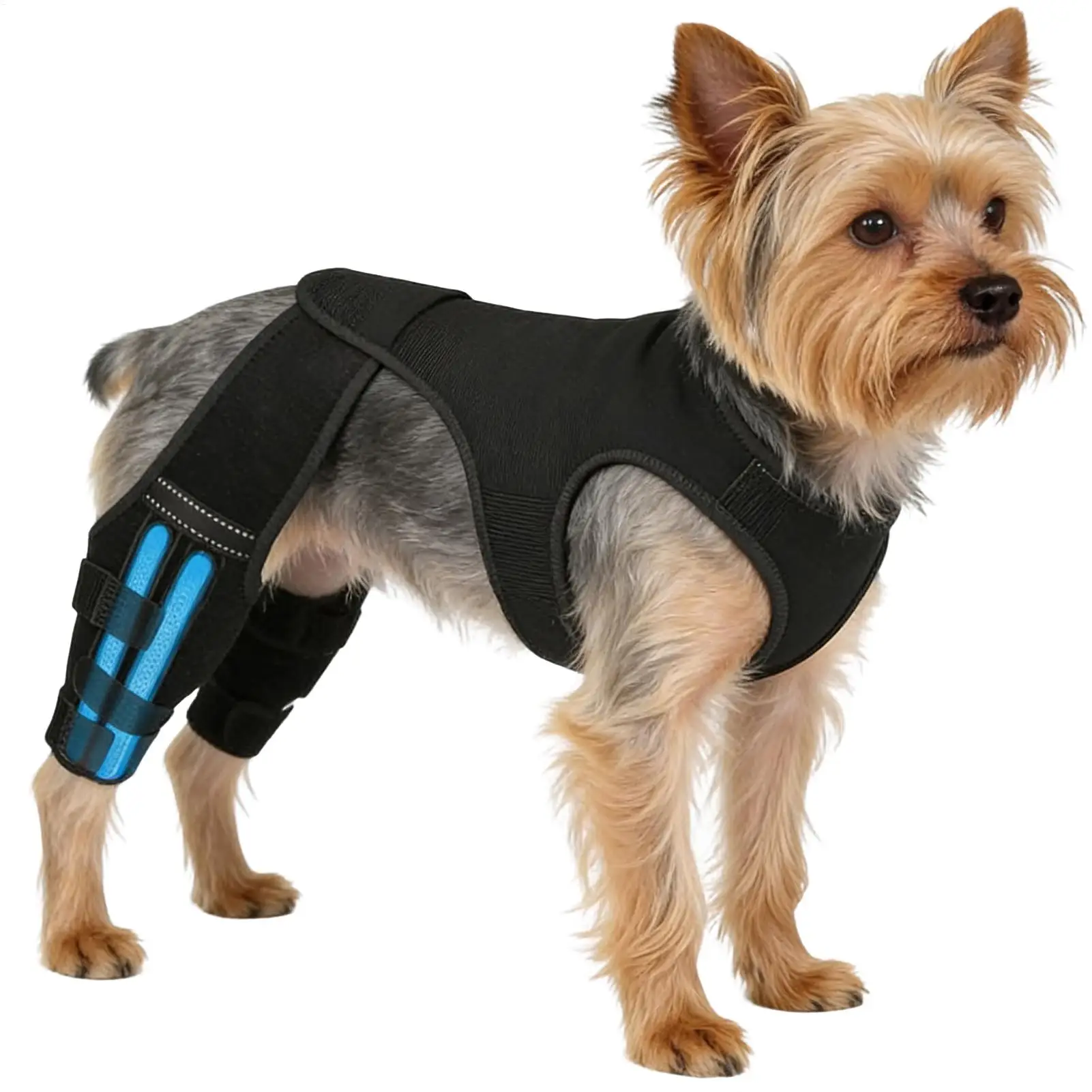 Dog Leg Brace Adjustable Wrap Joint Sleeve with 4 Metal Stabilizers Rear Leg Support for Hiking 1005011789266097