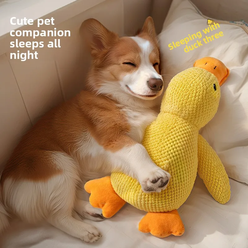 Dog toy sleep companion little yellow duck plush toy cat dog pet toy companion duck 1005011793081527