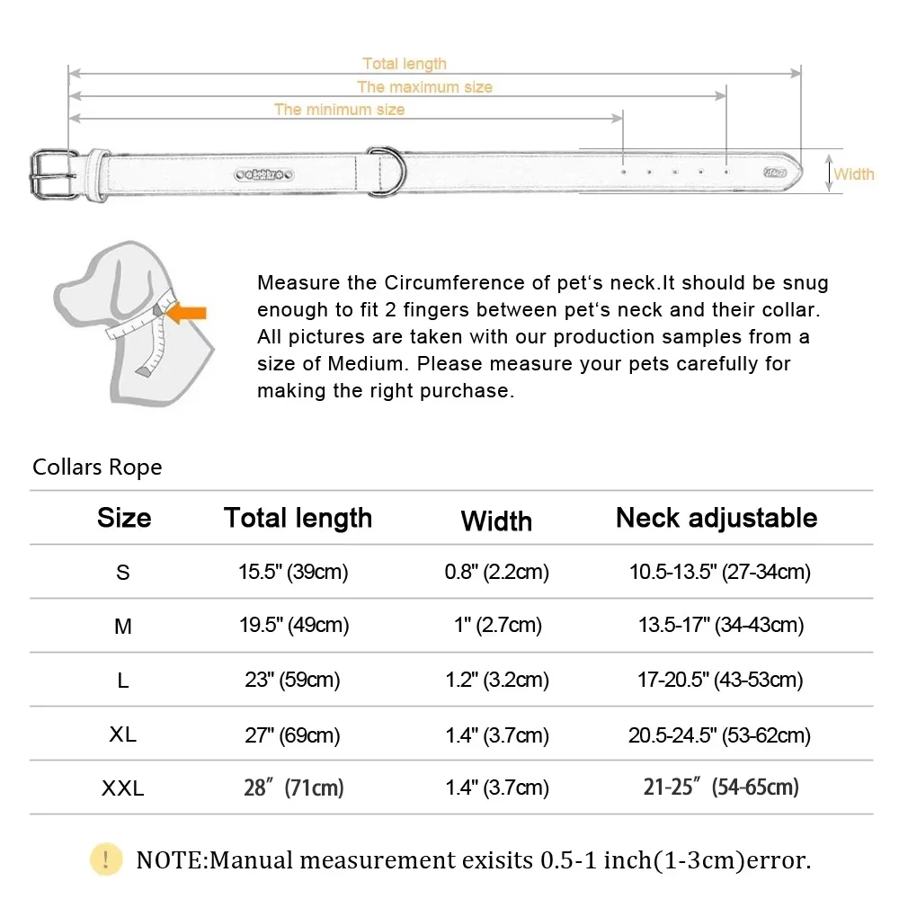 View 6