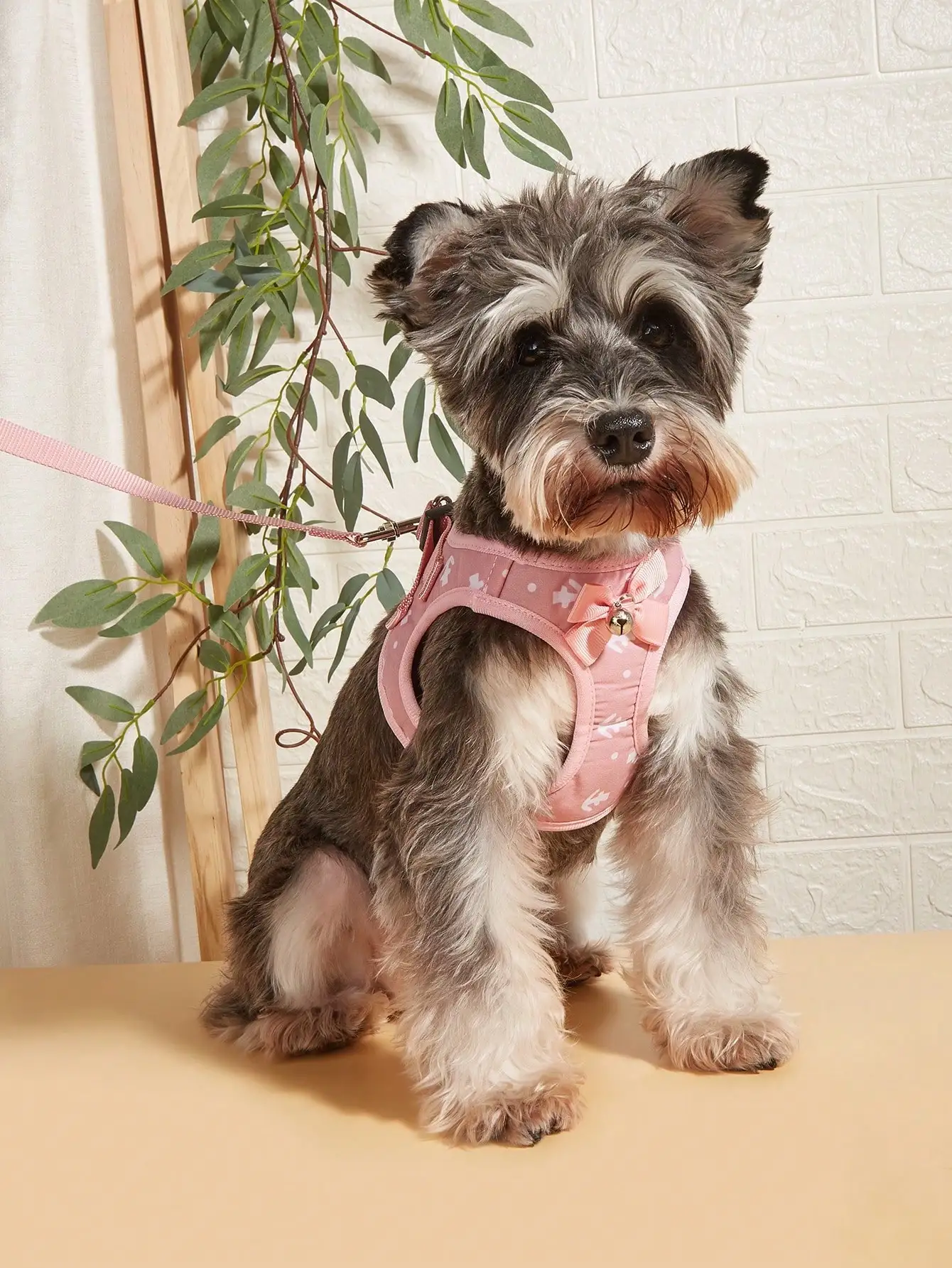 Dog Harness and Leash Set, No Pull Soft Mesh Pet Harness 1005011808306149
