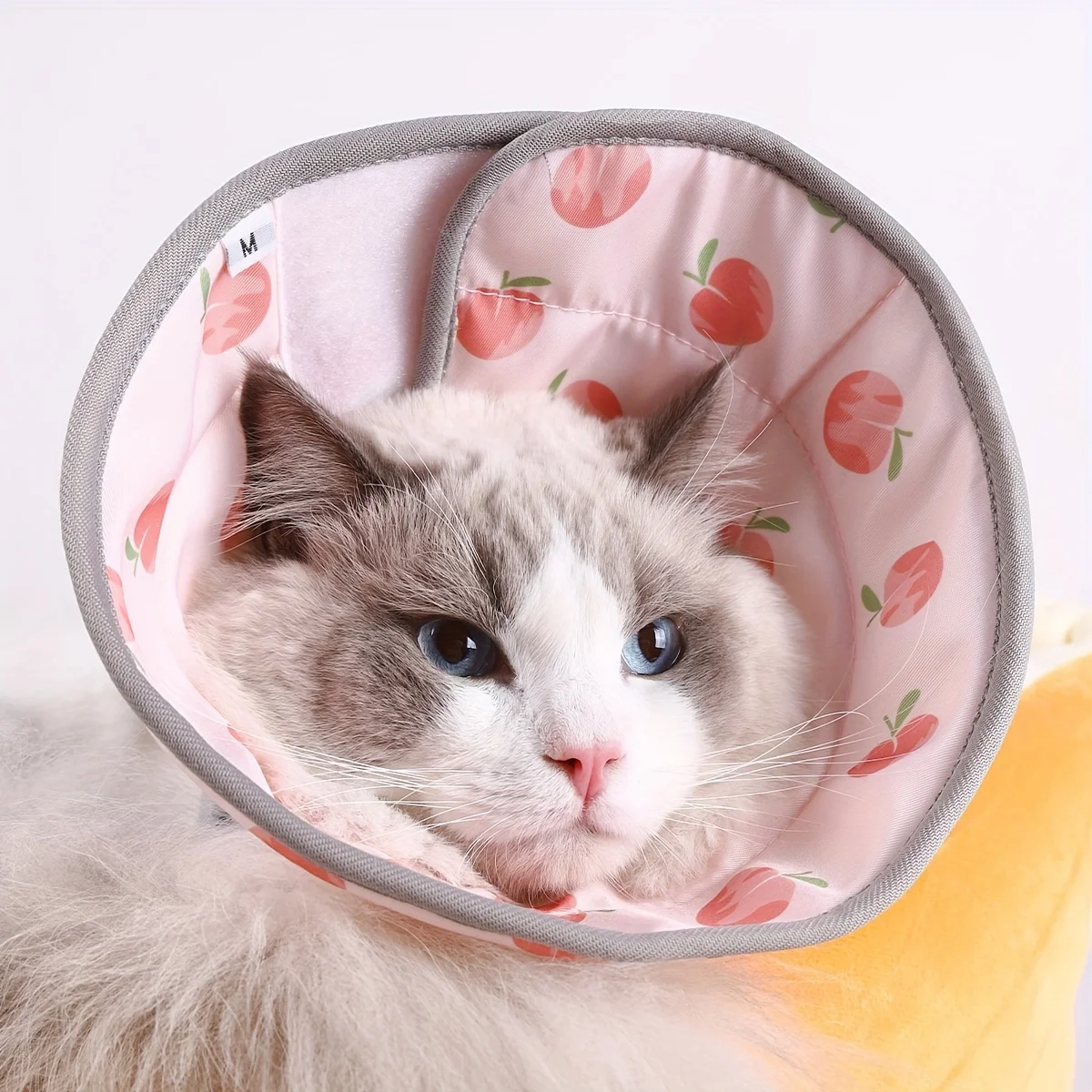 An Elizabethan Collar Cartoon Printed Pet Protective Cover, Dog Protective Shield 1005011816148976