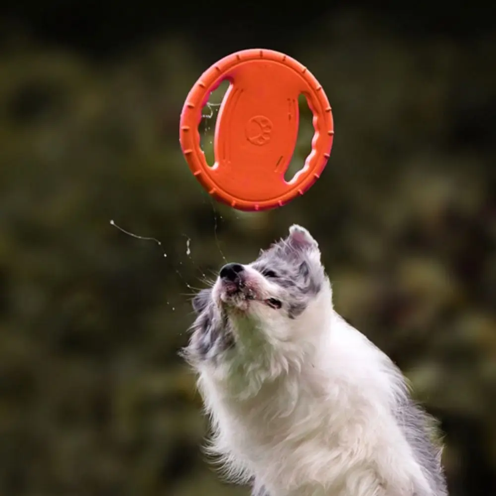 Bite Resistant Pet Flying Disc Toy Steering Wheel Shape Interactive Dog Toys Discs EVA 20cm 1005011817858431