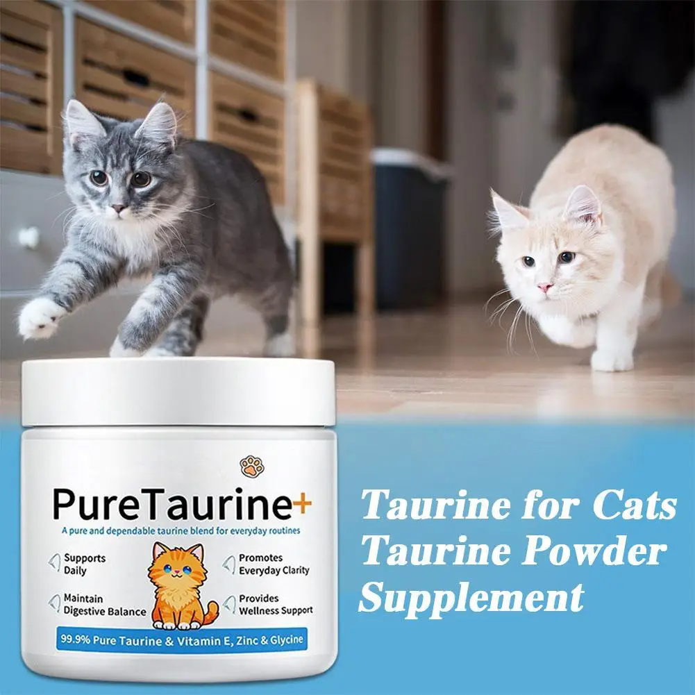 View 4