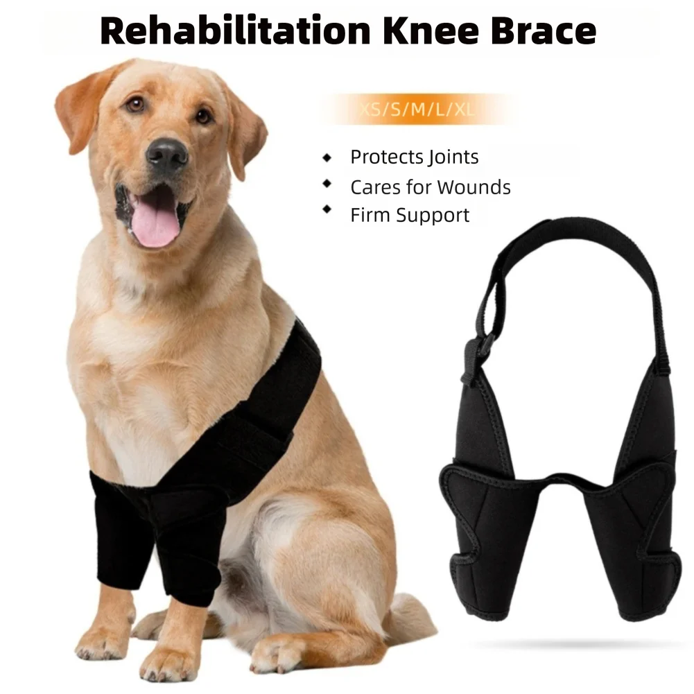 Dog Joint Wrap Full Elbow Brace Protector for All Dog Breed for Canine Elbow Shoulder Elbow Front 1005011822375261