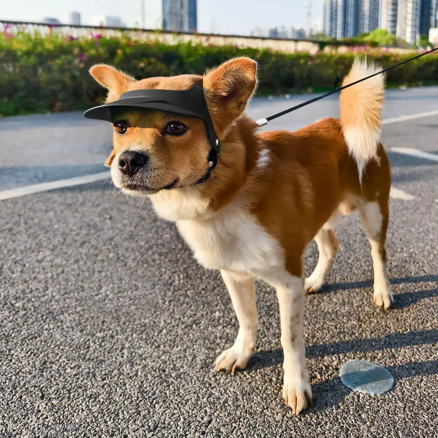 Dog Hat for Motorcycle Sun Hat with Ear Holes Stylish Doggy Visor Empty Doggie Helmets Adjustable 1005011825164255