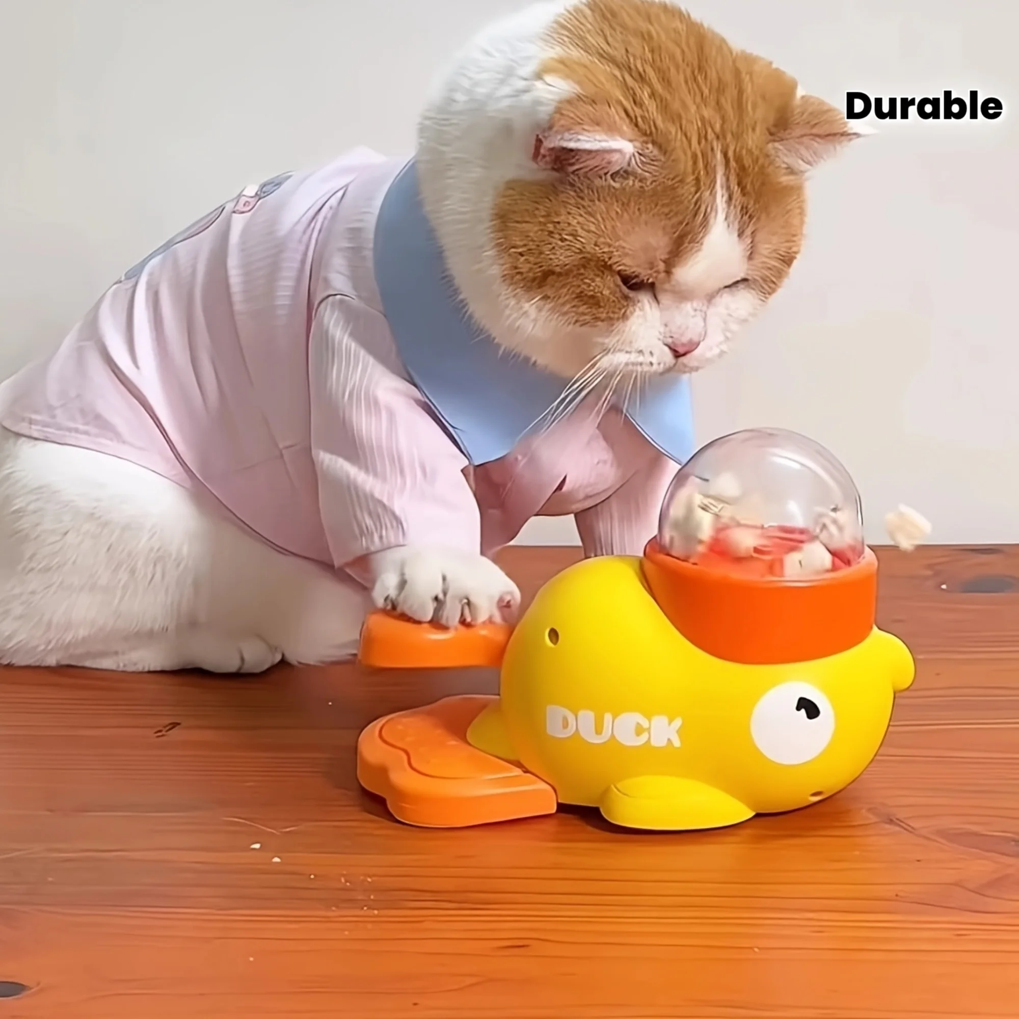 Interactive Cat Feeder Toy, Interactive Cat Toy, No Battery Needed 1005011825648169