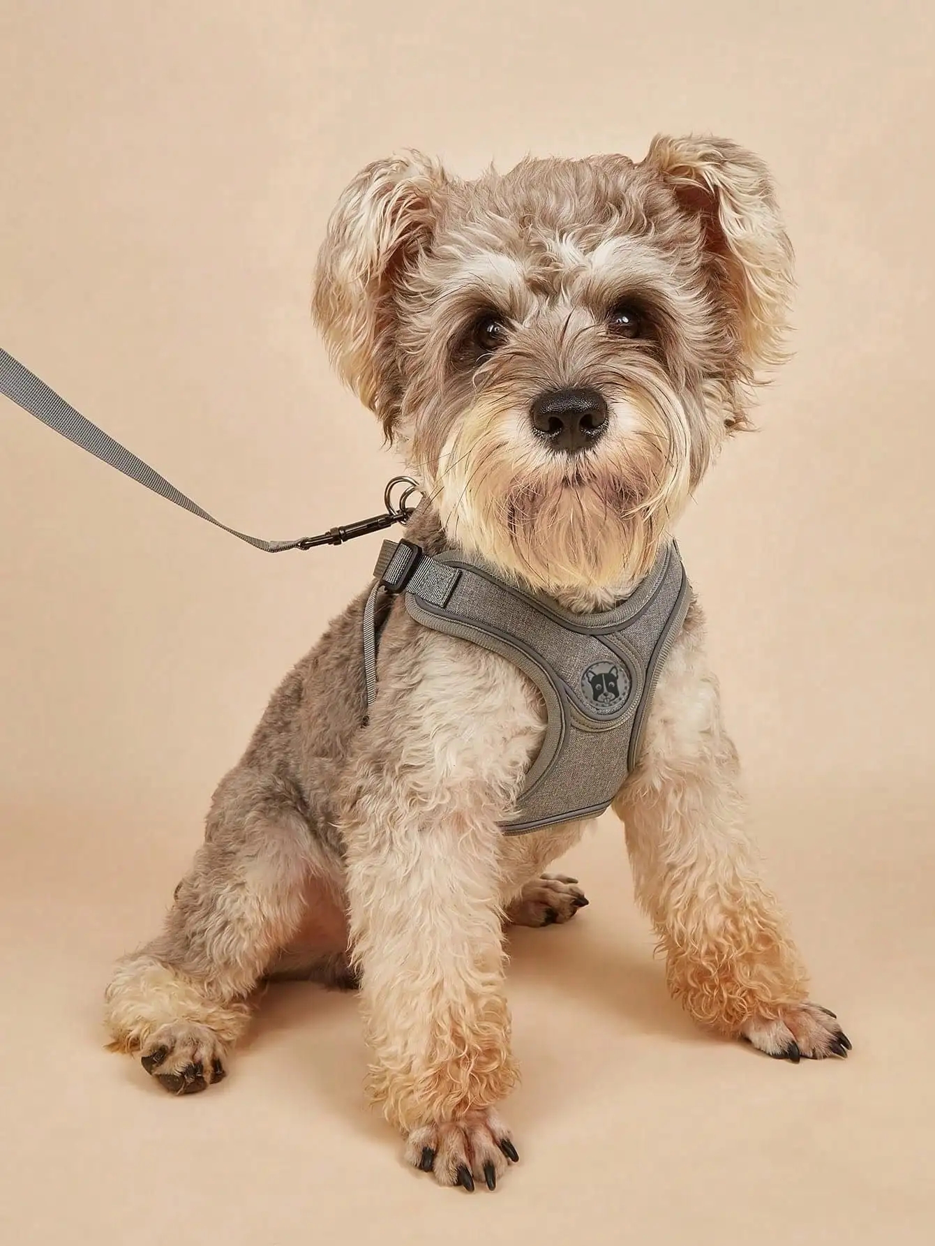Dog Harness for Small Medium Dogs No Pull, Puppy Harness and Leash Set 1005011825768103
