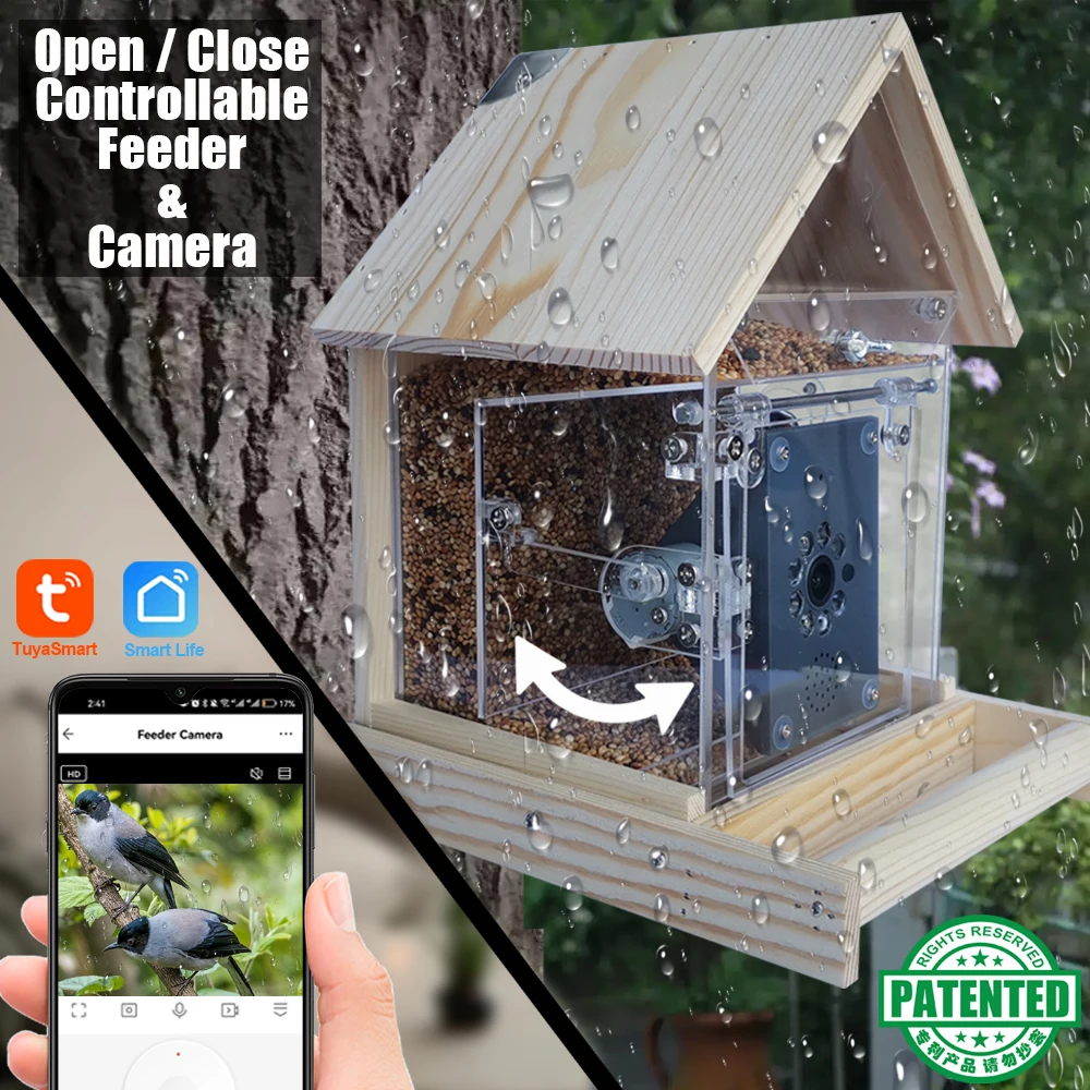 View 5
