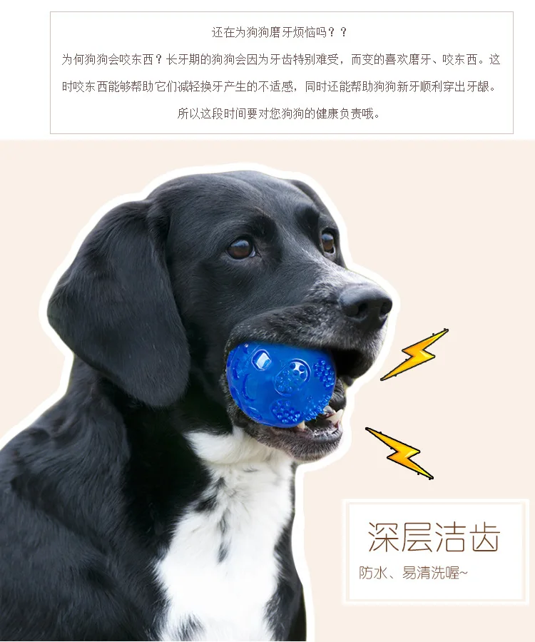 Pet Dog Puppy Sounding Toy Squeaky Tooth Cleaning Ball Playing Pet Teeth Chew Rubber Toy Float 1005011839651291