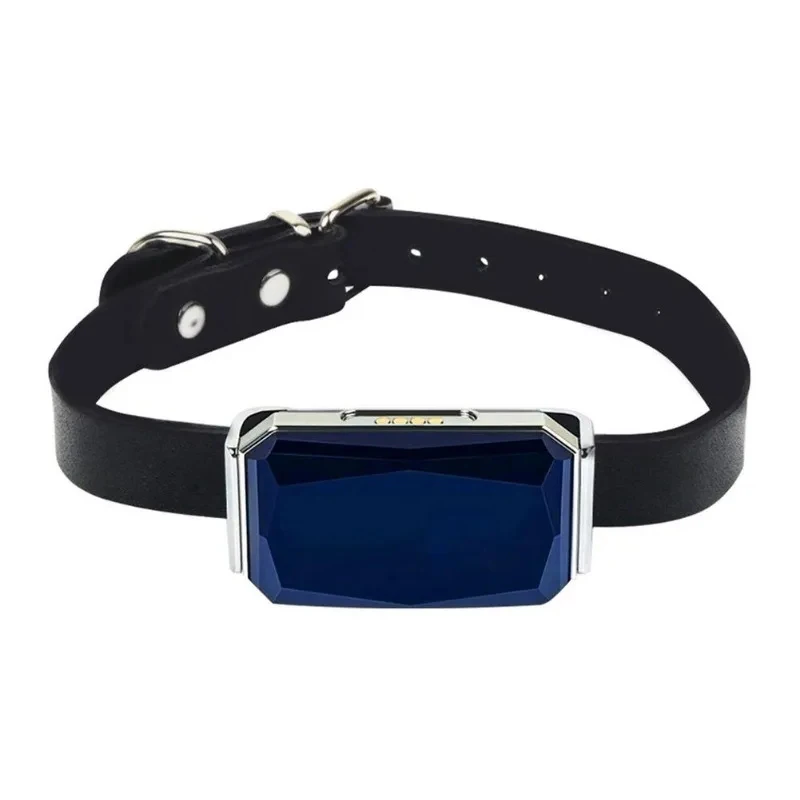 G12 G12p G12s 2G GSM Pet GPS Tracker Locator Collar Global Waterproof IP67 Cats Dogs GPRS Locating 1005011841166862
