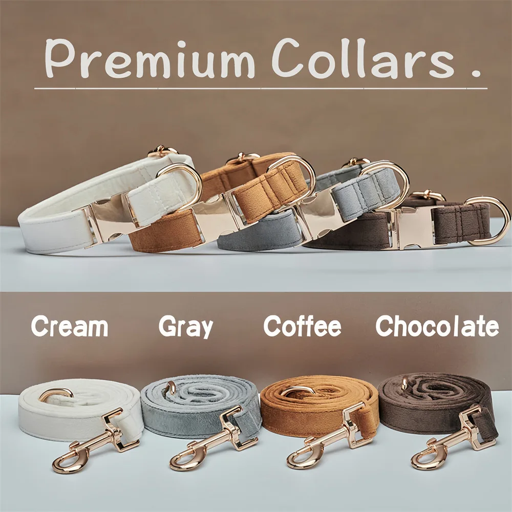 Dog Collar Cat Neck Ring Breathable Dog Rope Set Chai Dog Corgi Pet Traction Rope Engraving Anti 1005011843046465