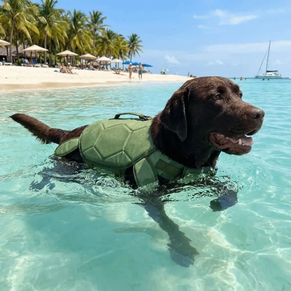 Cute Turtle Shape Pet Life Jacket Adjustable Portable Handle Dog Safety Vest Reflective Life 1005011847875858