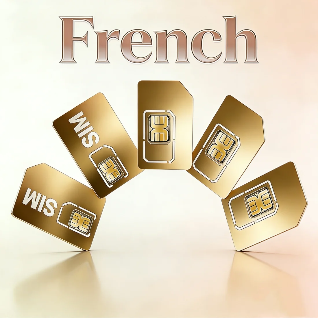 GPS Tracker 4G SIM Card, Pet Positioning Collar, France Iot Device, 500MB European Roaming Data 1005011848837098