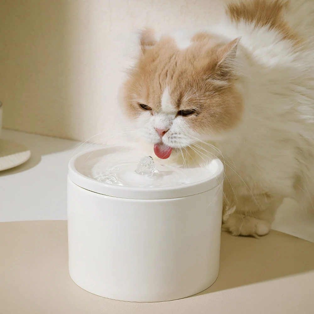 Water Dispenser Cat Automatic, Pet Ceramic Bowl, Dog Bowl Water Dispenser 1005011855741677