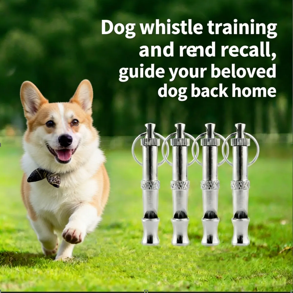 1 Pc Pet Dog Whistle Adjustable Volume Ultrasonic Whistle Portable Used For Pet Training Behavior 1005011858363527