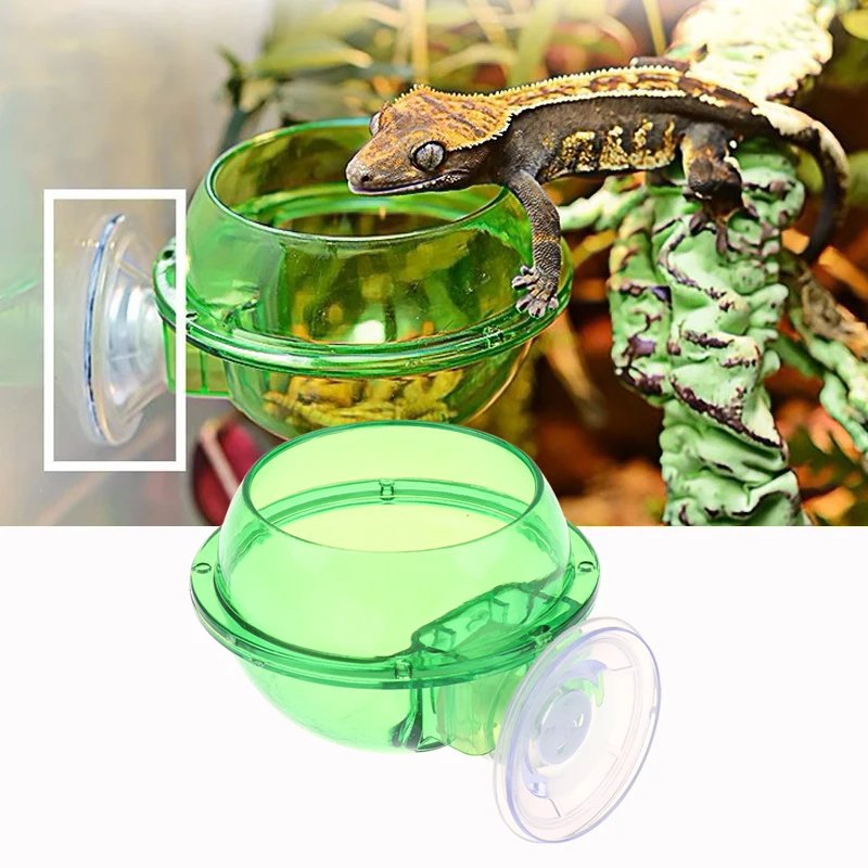 Arboreal Reptile Live Anti-Escape Sucker Feeder Bowl Insect Worm Food Container for Lizard Gecko 1005011867275689