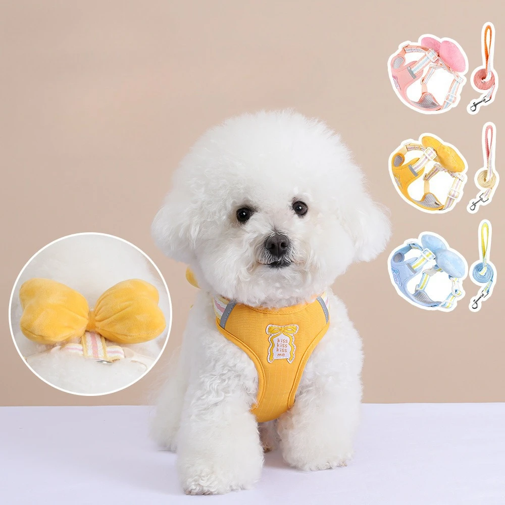 Fashionable Dog Cat Harness Vest and Leash Set for Small Animals with Comfortable Padding 1005011867561098