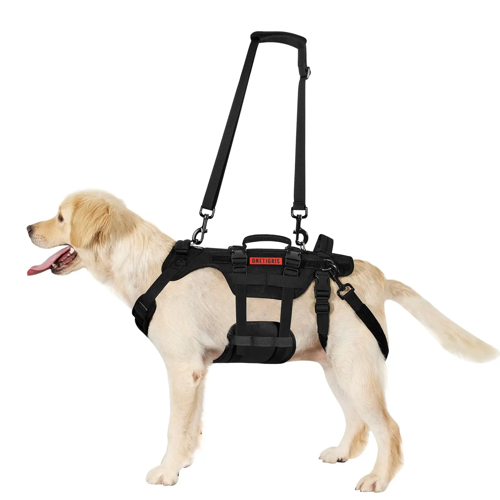 Outdoor Dog Vest Dogs Harness Tactical Train Coat Medium Large Dogs Vests Chest Strap Bungee (1PCS) 1005011870427819
