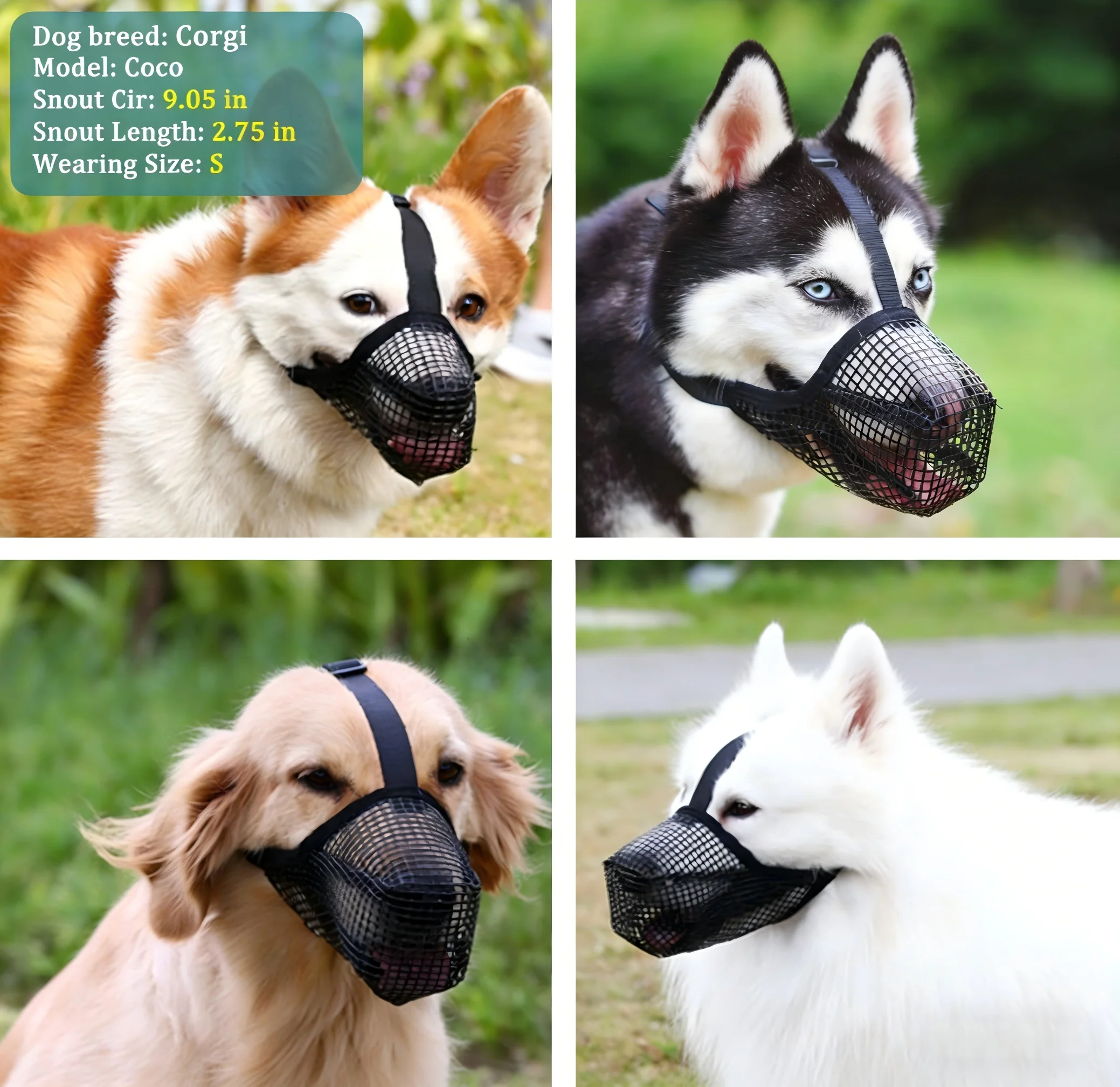 View 5