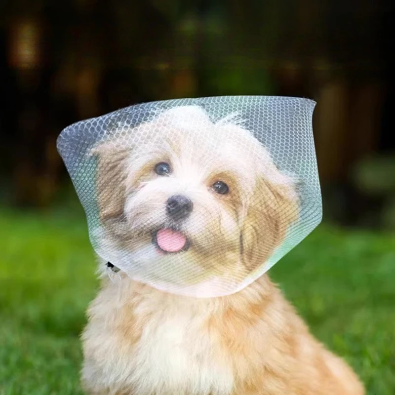 Dog Muzzle Net Prevents Accidental Ingestion Outdoor Muzzle Essential Accessory for Small Dogs (3pcs) 1005011874040660