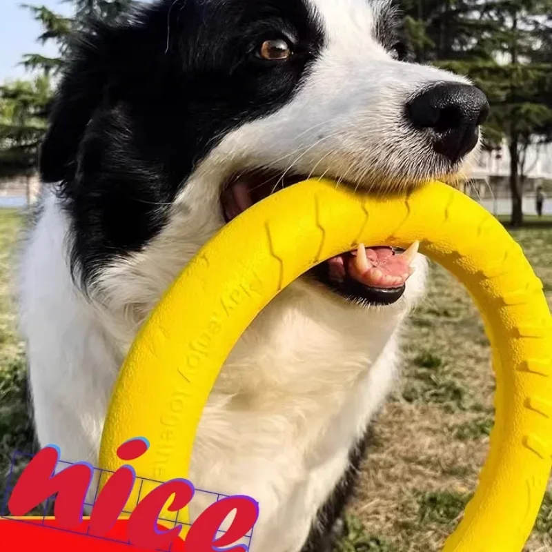 Dog Toy Bite Resistant Touring Frisbee Training Consumes Physical Energy Self Fun Circular Teeth 1005011875697210