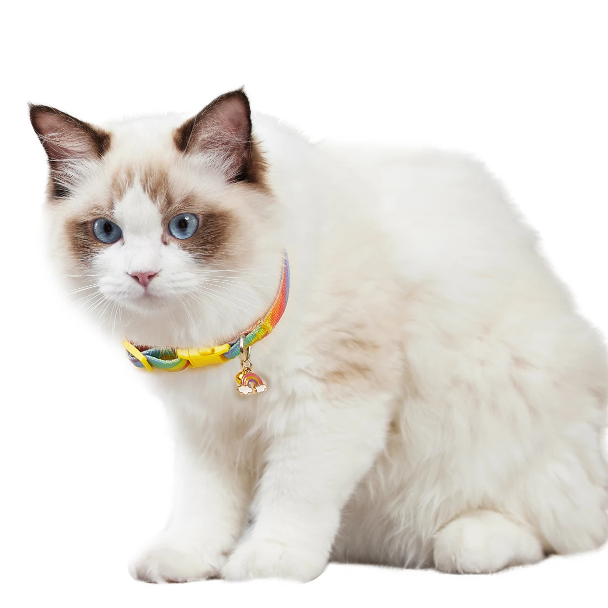 Charm and Bell Collar Colorful Graffiti Printing Pet Collar Adjustable New Design Fashion Cat And 1005011888605107