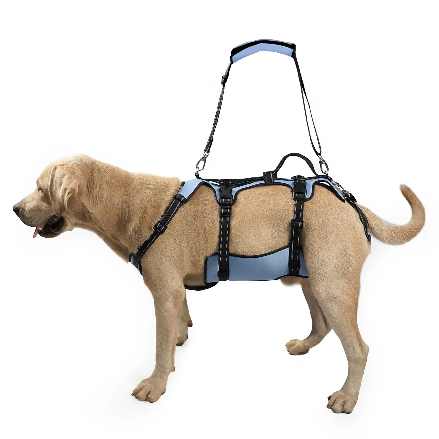 COODEO Dog Harnesses Lift Harness Pet Support Rehabilitation Sling Lift Adjustable Padded 1005011890153685