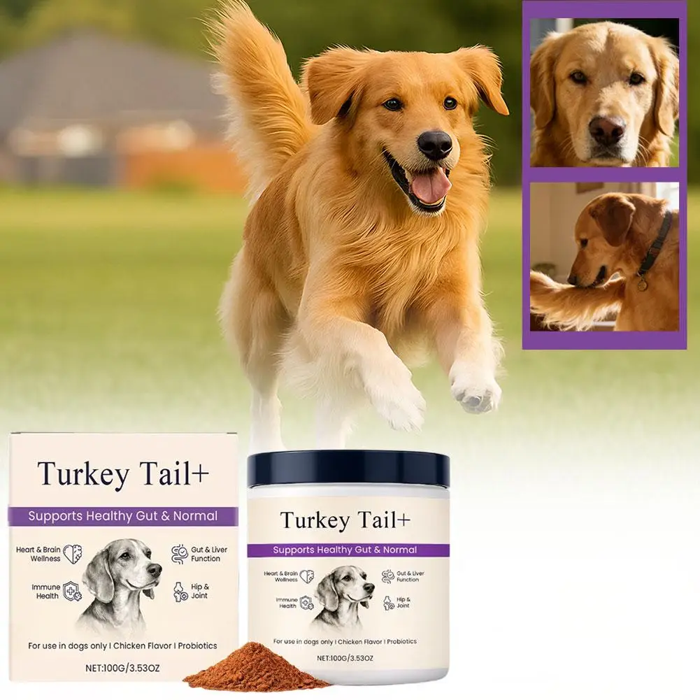 Dog Probiotic Intestinal Powder Delicious Bacon Flavor Digestive Support Long Shelf Life Premium 1005011901177461