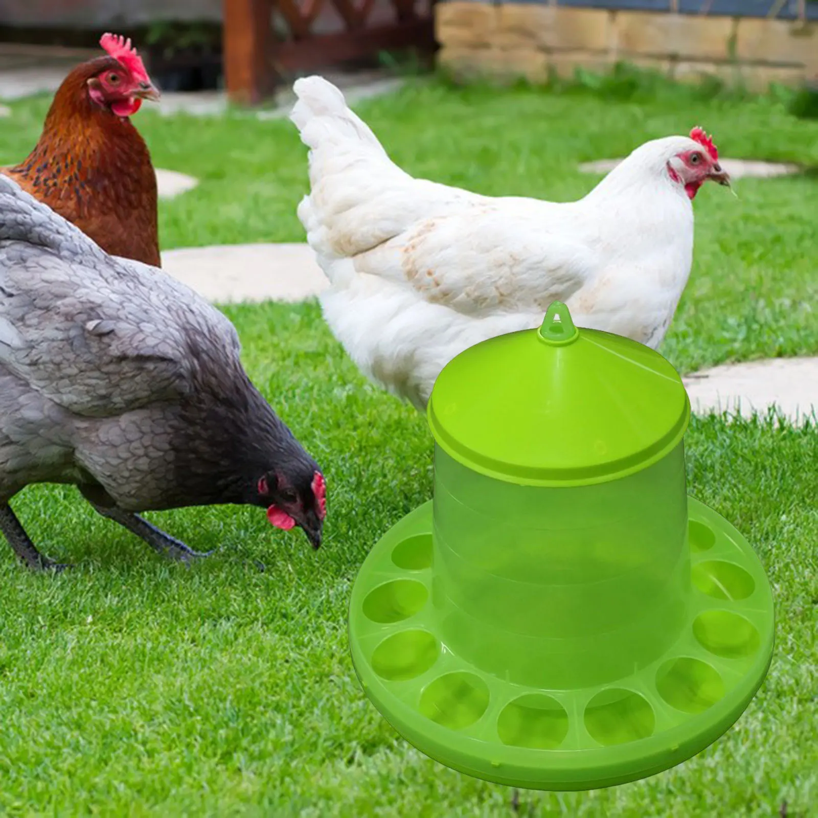 Chicken Waterer Watering Dispenser Automatic Poultry Feeder Animal Drinker for Turkey Ducks Birds 1005011901970869