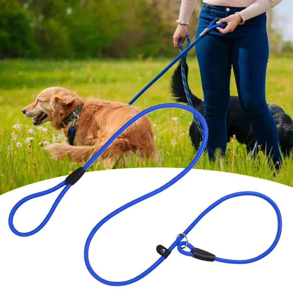 Dog Training Leash P Leash, Durable Nylon Material Heavy Duty 1005011905351368