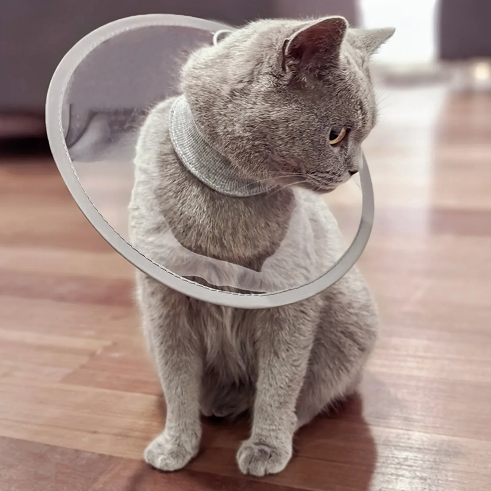 Transparent Cat Elizabeth Collar Pet Supplies Soft Adjustable Healing Recovery Cone Cat Comfortable 1005011912428238