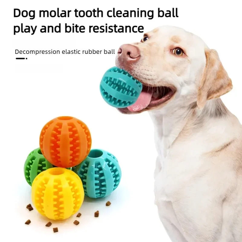 Interactive Dog Toy Ball 1005011913694846