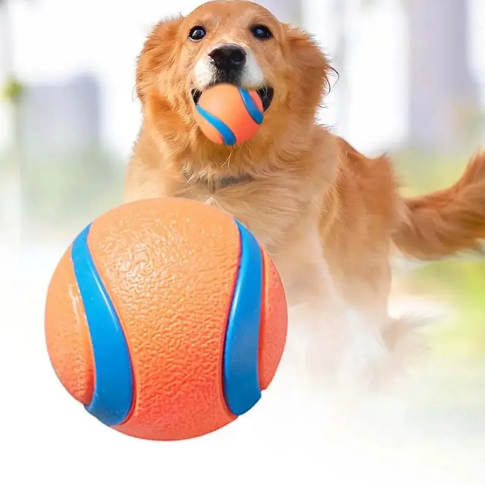 Dog Toy Ball Dog Fetch Ball Toy Tough Pet Ball Puppy Chew Toy Solid Elastic Jumping Ball Pet 1005011924899031